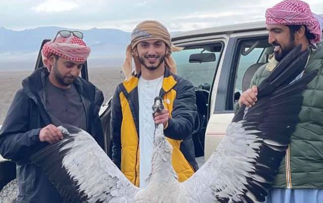 “Əcnəbi turistlər quş təlimi ilə məşğul olublar, qoy günahı özlərinə qalsın”