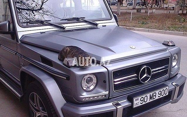 Bakıda 410 minə “Galendewagen” satan şəxsin başına iş gəldi