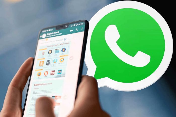 "WhatsApp"da da “Telegram”da olduğu kimi kanallar yaradılacaq