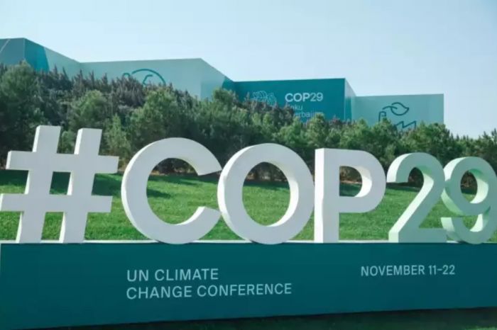 COP29-dakı könüllülərə 1500 manat pul veriləcək